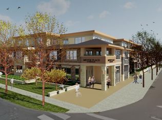 222 Ferndale Rd S #209, Wayzata, MN 55391