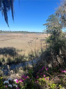 1155 Breeze Way Ave NE, Townsend, GA, 31331