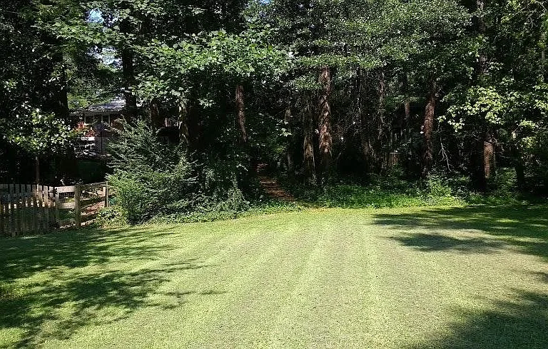 Large backyard & play area