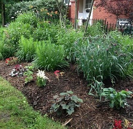 The landscaping in it's full, blooming glory!