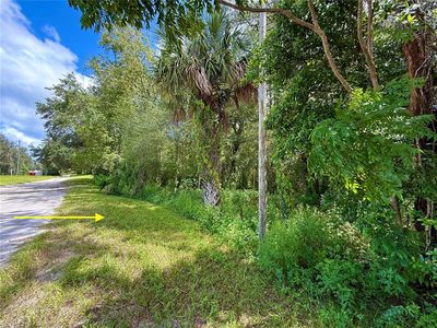LOT 1 Palm Dr Lot 1, Eustis, FL, 32736