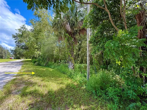 LOT 1 Palm Dr Lot 1, Eustis, FL 32736