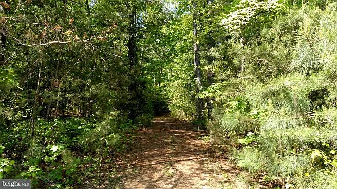 20255 Hawks Way photo 1
