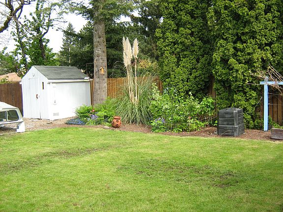 back yard and shed