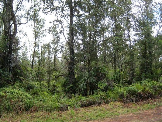 4th image of Lanai Rd Lot 737
