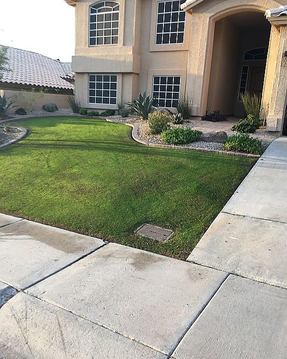 Front yard