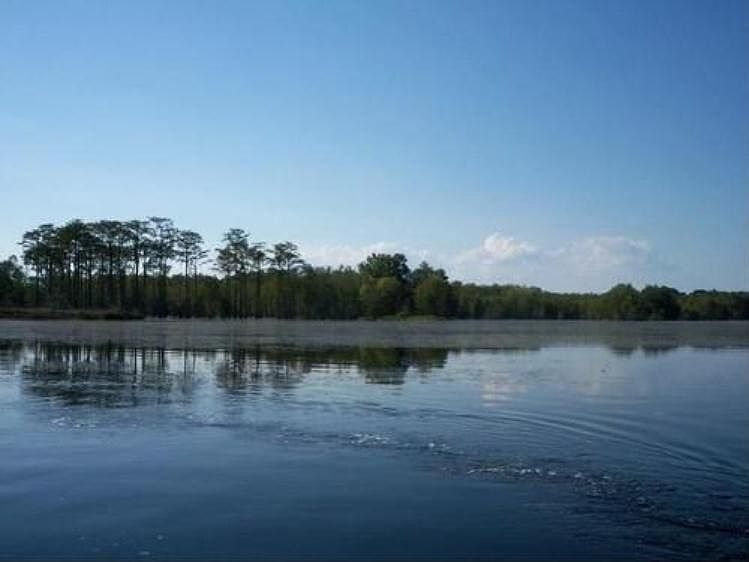 1807 Cypress Lake Rd, Statesboro, GA 30458 Zillow