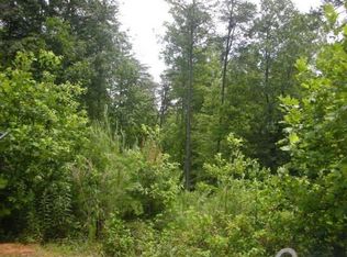 310 Forest Trl, Clarkesville, GA 30523