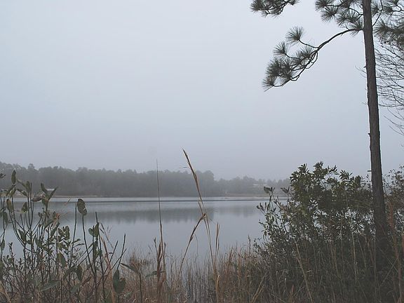 2nd image of L-13 W North Shore Drive