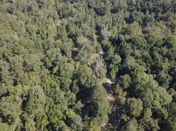 Us Highway 221 S, Kite, GA 31049