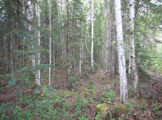Town Road E S Echo Lake Rd, Big Lake, AK 99652