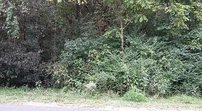 2nd image of 128 Dudala Way Lot 6