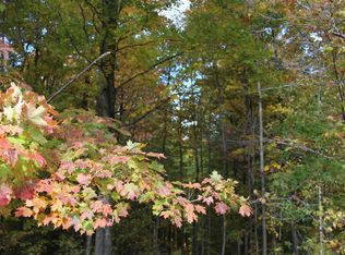 Springdale Rd, Thompsonville, MI 49683