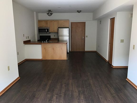 Living room / Kitchen / Entrance into the apartment