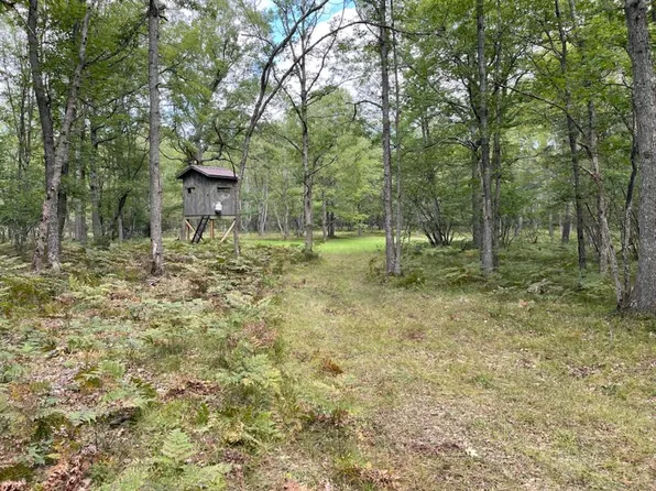 V/l Gopher Trl, Baldwin, MI 49304