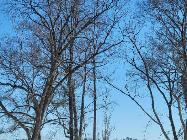 Multiple Harrell Road, Burgaw, NC 28425