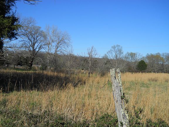 Raw land & some fruit trees