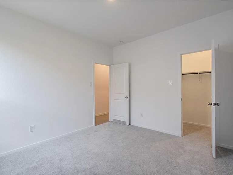 26514 Foxtail Fern Dr — Photo 25