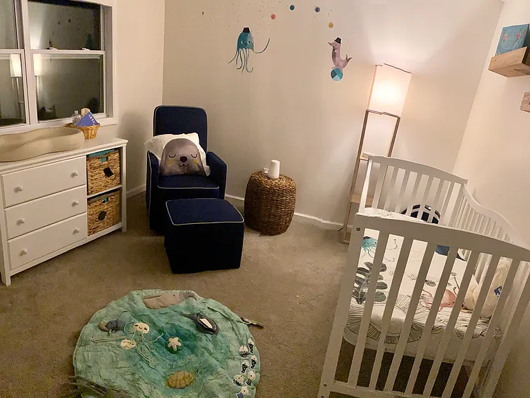 451 Barton Run Blvd — Photo 12