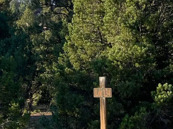 Lot 134 White Tail Lane, Ridgway, CO 81432