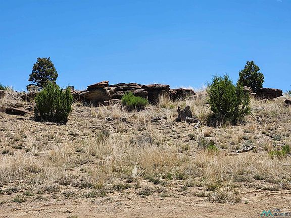 5th image of 86 Ponderosa Ranches Path