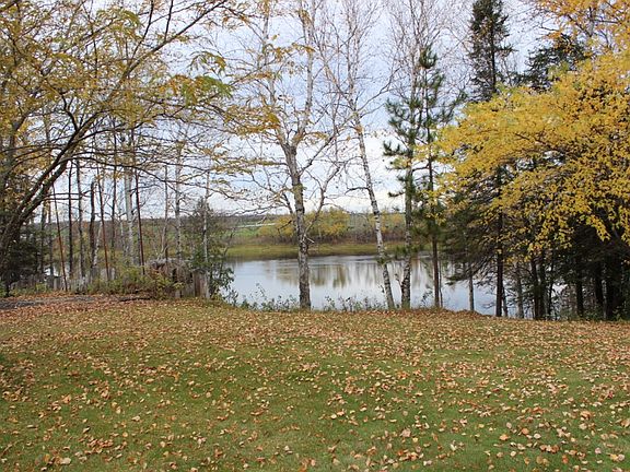 Rainy River View