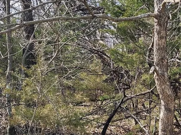 25 Shadow Ln, Linn Valley, KS 66040