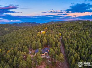 351 Shady Hollow Rd, Nederland, CO 80466