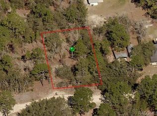 2908 Winston St, Inverness, FL 34452