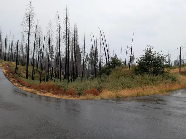 7290 Grizzly Creek Dr, Grizzly Flats, CA 95636