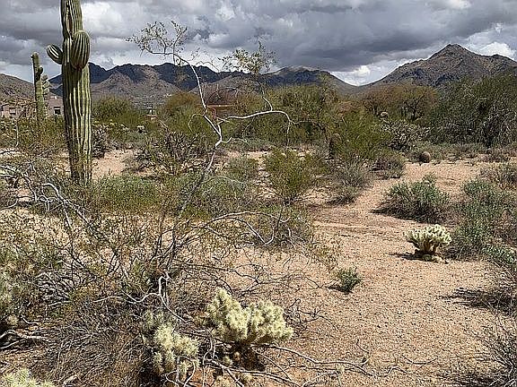 4th image of 9402 E Hualapai Dr