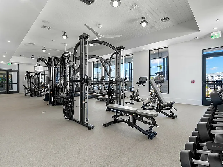 Free Weights and Weight Training Equipment