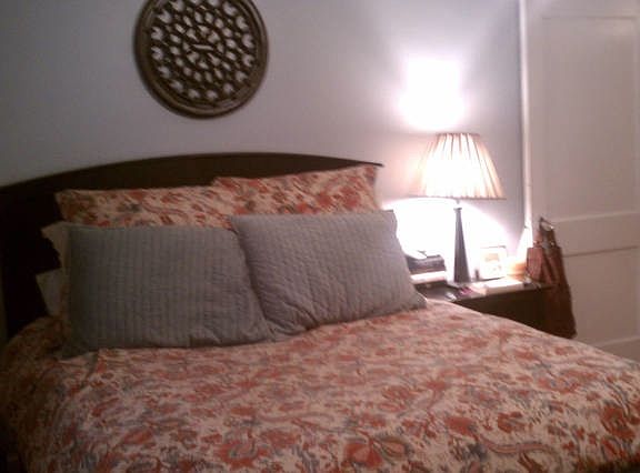 main bedroom with closet