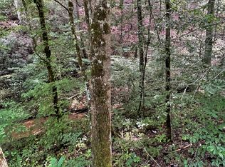 0 Fiesta Blvd LOT 53-A, Sevierville, TN 37876
