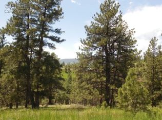 16132 Steller Ridge Rd, Loveland, CO 80538