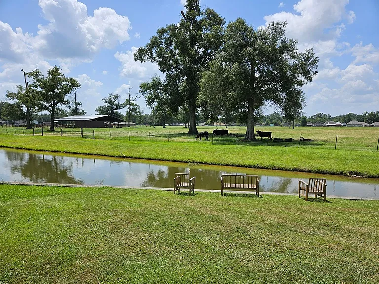 43283 Pond View Dr — Photo 23