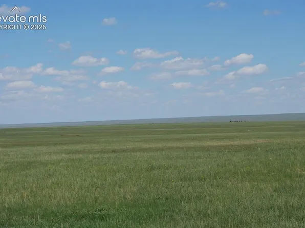 Blasingame Rd, Ramah, CO 80832