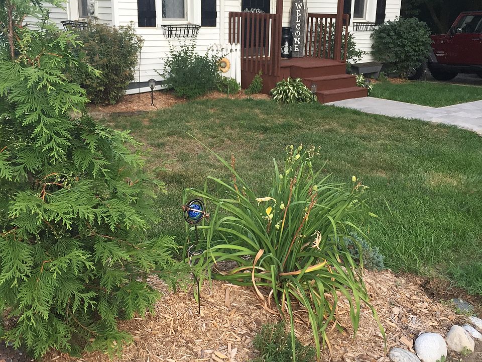 Front Yard
