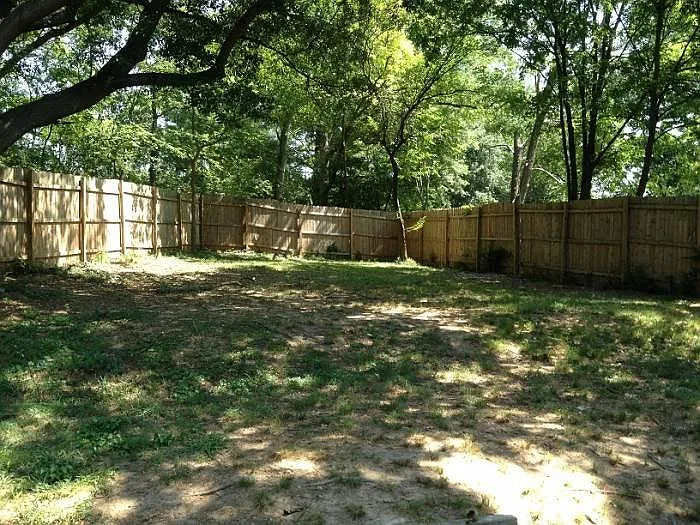 Dog friendly Backyard with 8' privacy fence