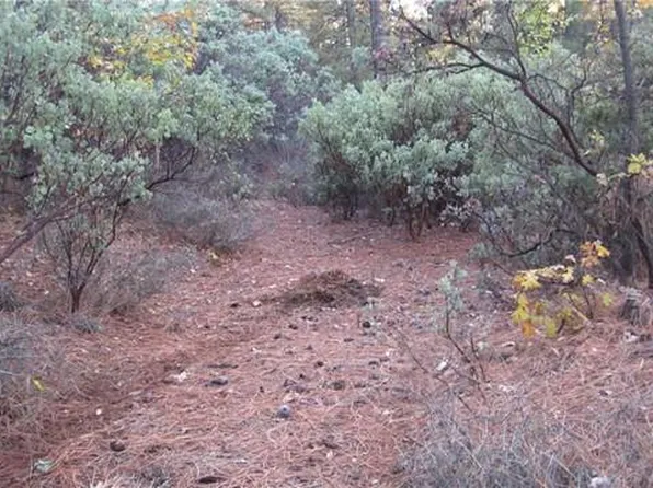 Crown Point Rd, Forest Ranch, CA 95942