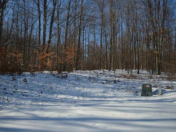 5th image of 25 White Tail Dr