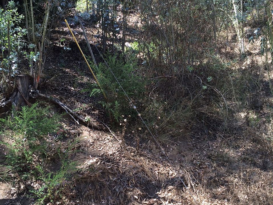1st image of Balsam Way