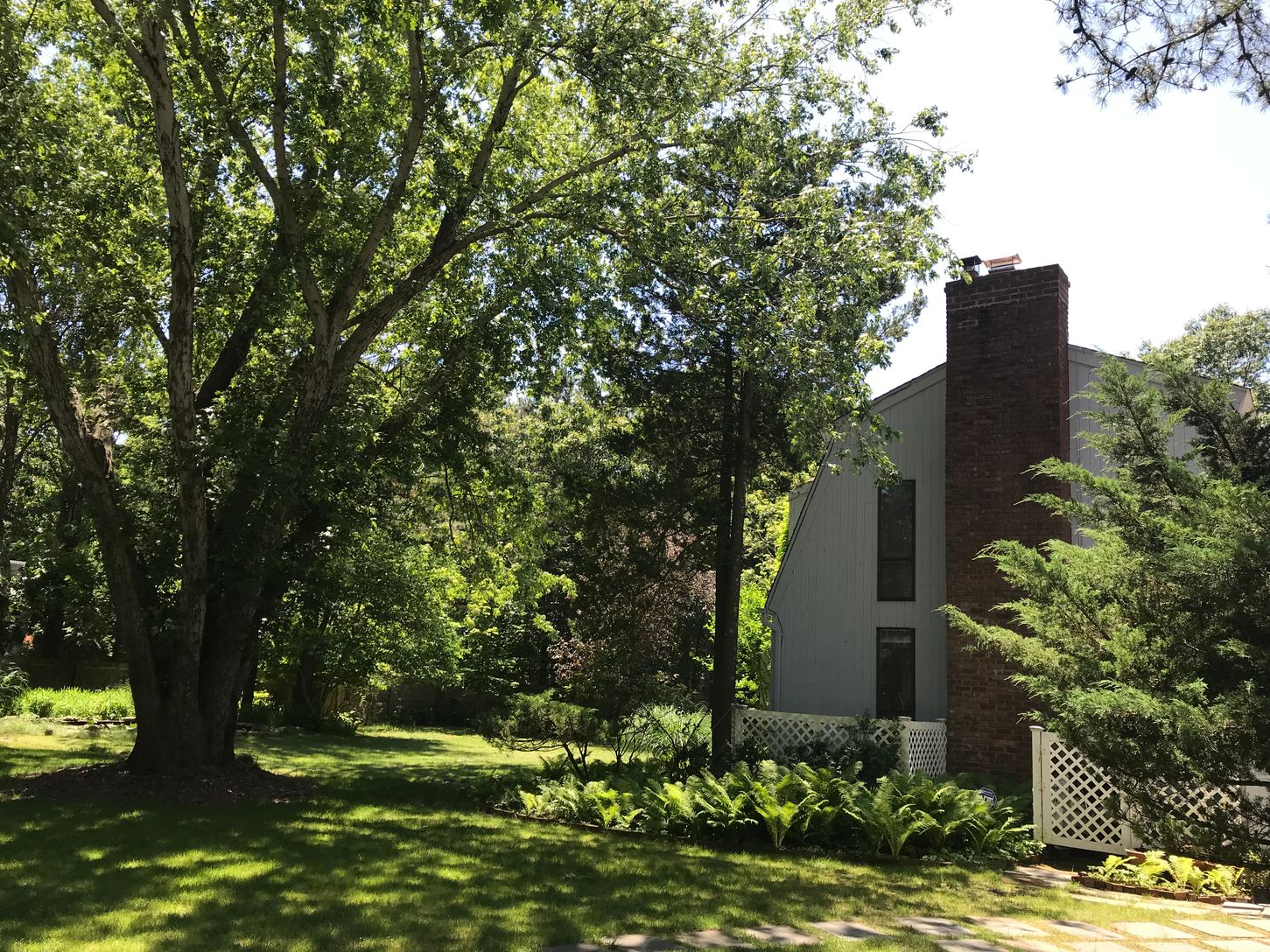  Side Yard
