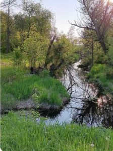 L1 State Hwy 22, Montello, WI, 53949
