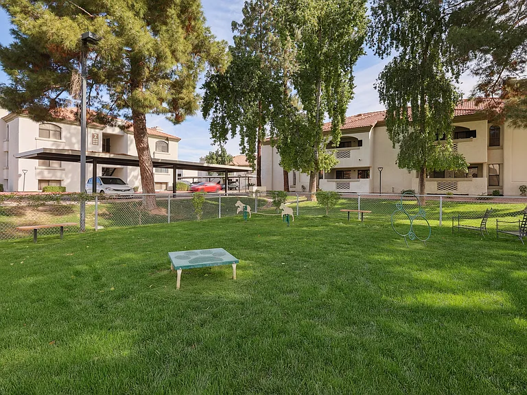 Be Mesa — Photo 24