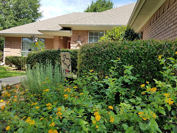 Landscaped garden