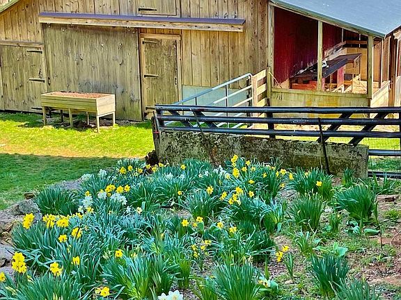 3rd image of 16756 Mount Airy Rd