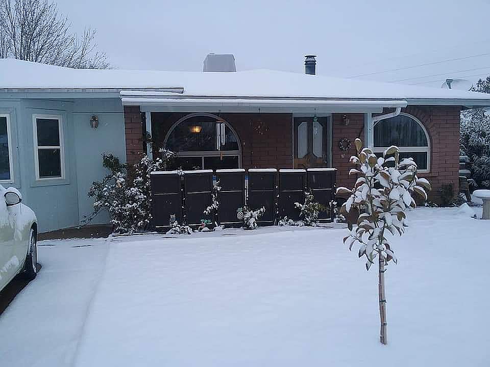 1st image of 1241 N Catalina Dr