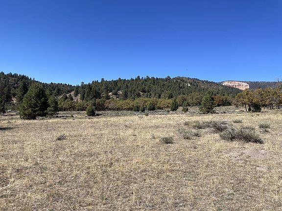 5th image of 257 N Gobbler Loop