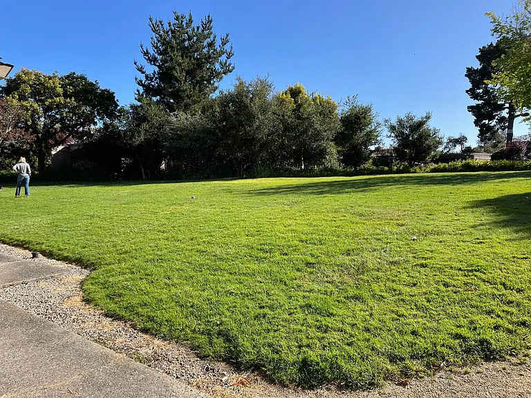 11 Montsalas Dr — Photo 31